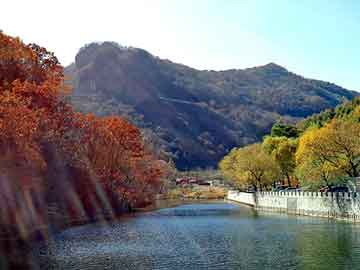 管家婆黑白马报图库，桑塔纳论坛